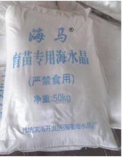 海水晶 南美对虾育苗